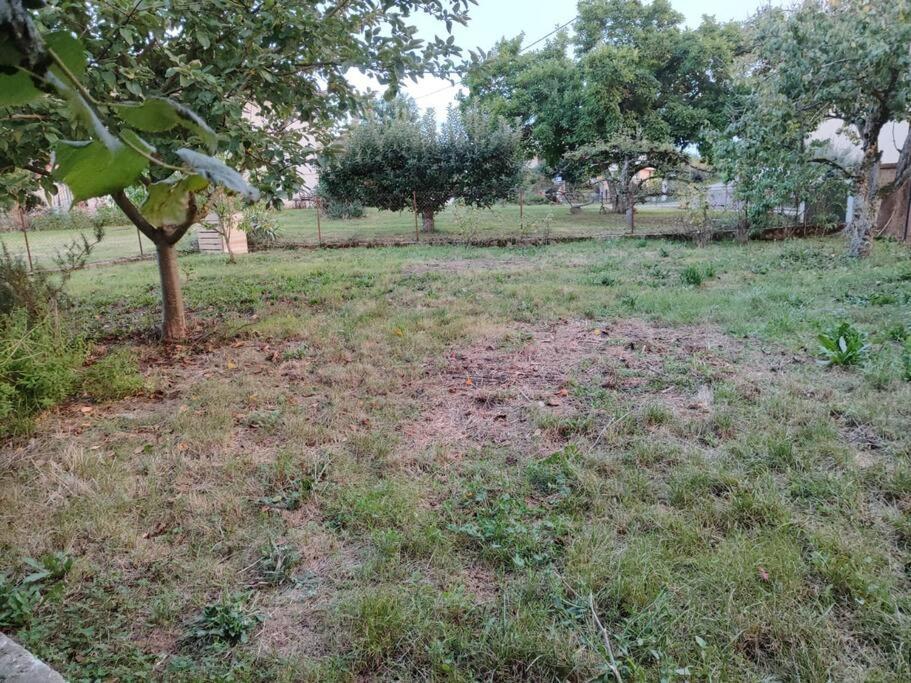 Chevigny  Campagne-Jolie Maison Avec Jardin- Proche Dole מראה חיצוני תמונה